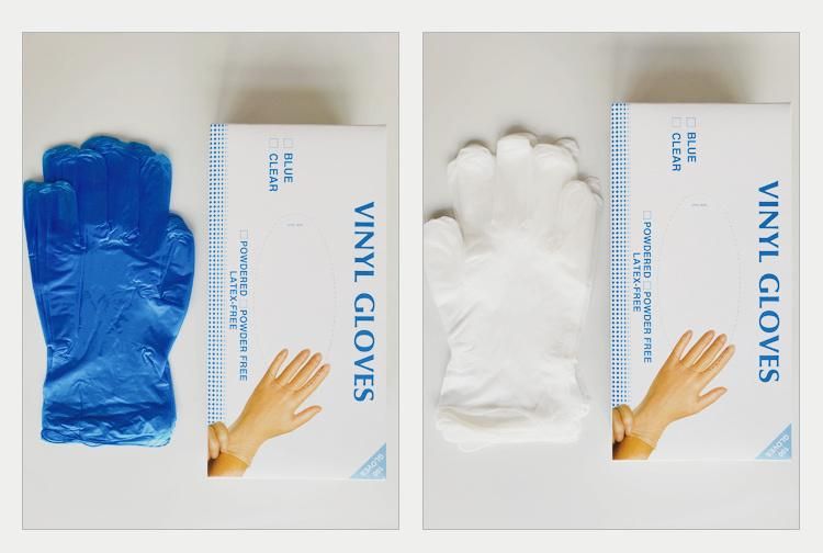 Disposable Blue Vinyl Gloves Power Free Medical Gloves Household Gloves