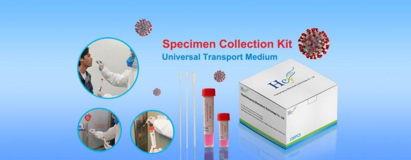 Sample Collection Tube with Vtm, Nasal Swab Oral Swab with Vtm Tube Vtm Sample Storage Tube with Swab