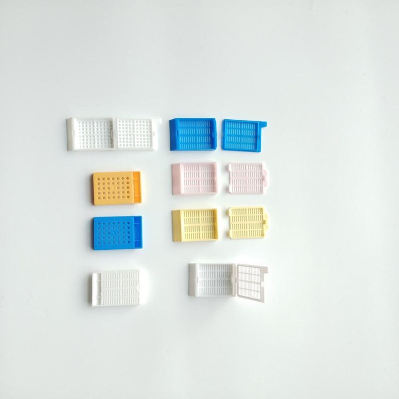Tissue Processing Cassettes Embedding Cassette