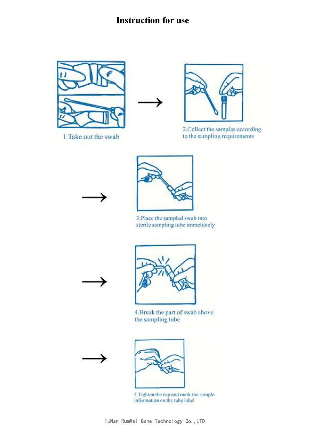 Igm Igg Rapid Test Kit Sample Collection of Sigle-Use Oral Swap