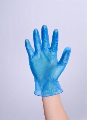 Disposable Blue Vinyl Gloves Power Free Medical Gloves Household Gloves