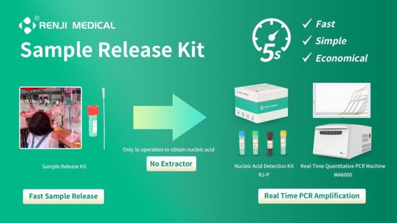 Virus Sample DNA Release Reagent for PCR Detection