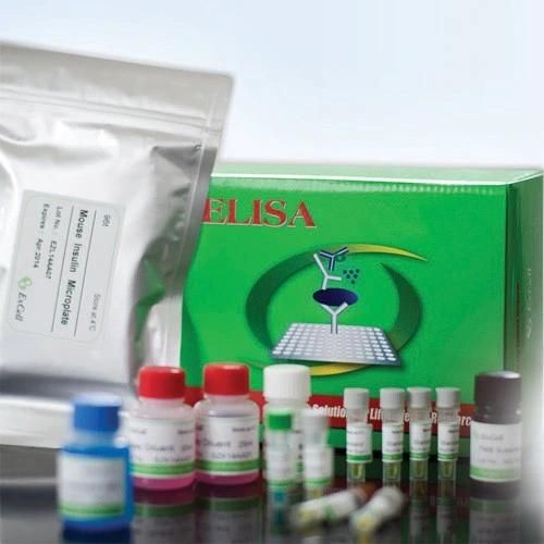Ck MB Elisa Kits/Elisa Test Kits/Research Elisa Test Kits