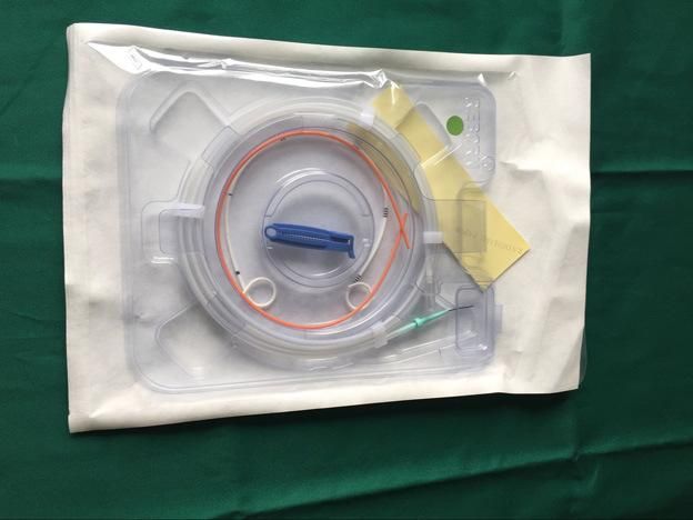 Reborn Medical Consumable Nitinol Hydrophilic Guide Wire with CE Certificate