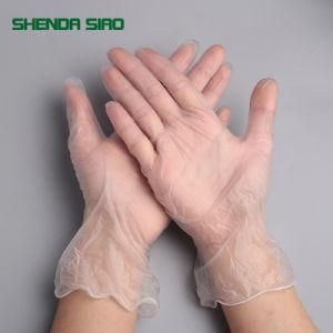 PVC Gloves 100 PCS/Box Disposable Examination Vinyl Powder Free PVC Gloves Disposable Transparent