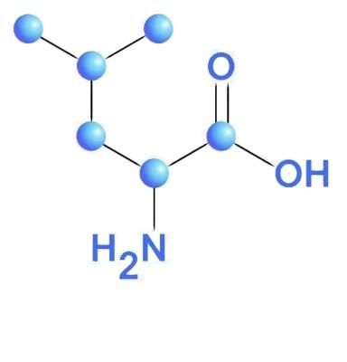 Sterile Ampicillin Sodium API High Quality