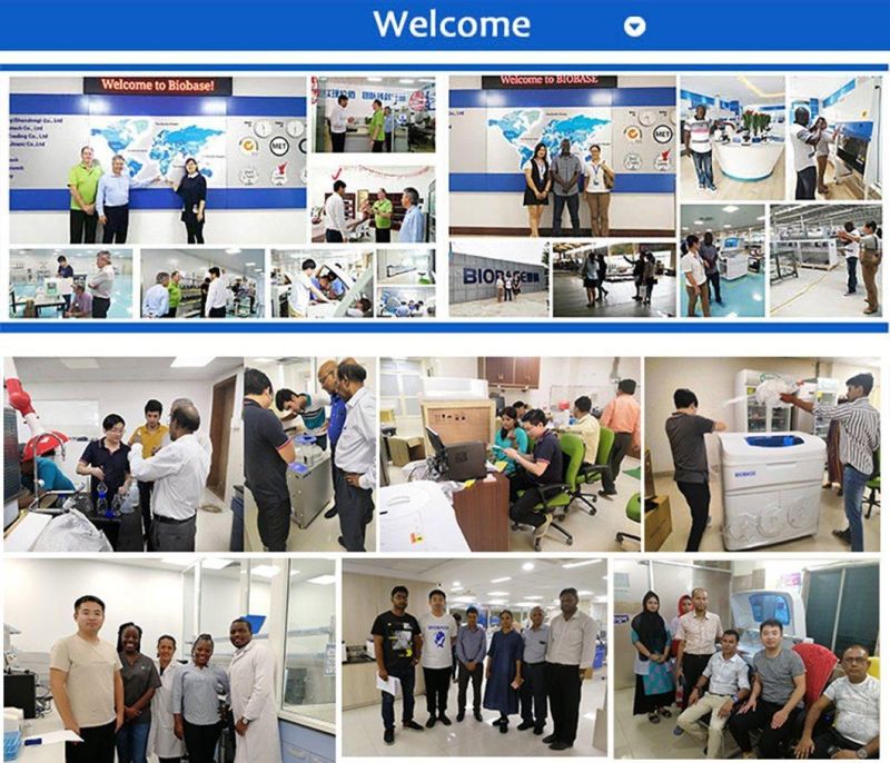 Biobase Yellow Pipette Tips Machine Price for Lab and Hospital