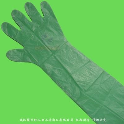Disposable Veterinary Gloves