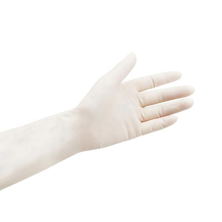 High Quality Disposable Latex Gloves Powder Free