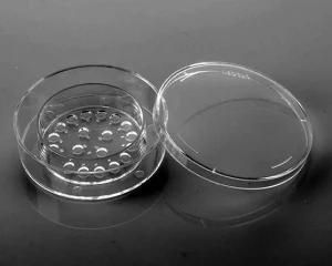 Culturing Dishes 19 Vents Cleavage Stage Embryo Culturing Dish