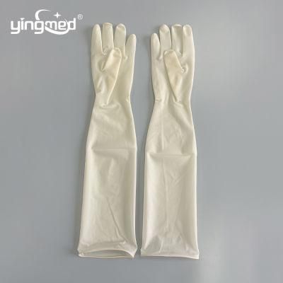 New Products Gynecological Elbow Lenghth Extra Long Sleeve Latex Gloves