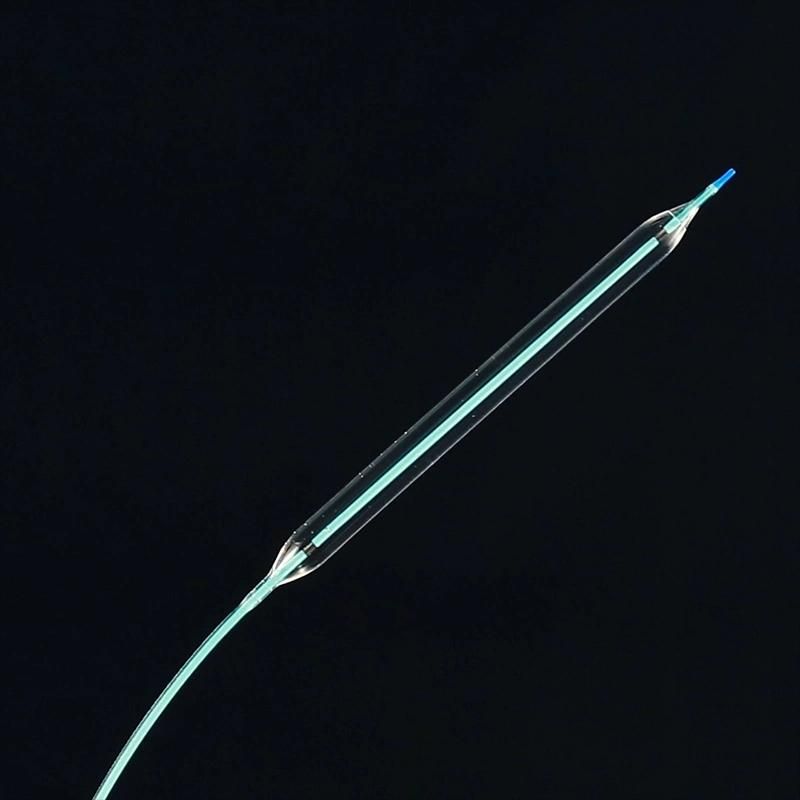 CE Manufacturer of Medical Ptca Balloon Catheter for Single Use